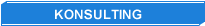 konsulting